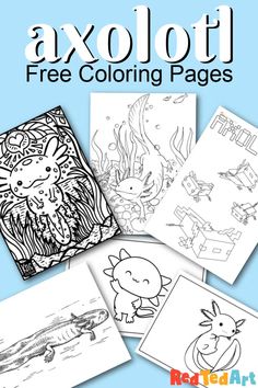 Graphing Inequalities, Witch Coloring Pages, Minecraft Coloring Pages, Christmas Writing, Love Coloring Pages, Valentines Day Coloring, Kitty Coloring, Pattern Coloring Pages