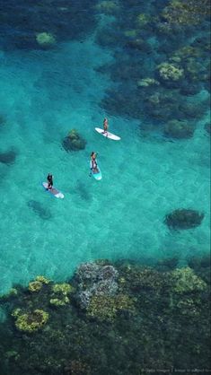 two people are on surfboards in the clear blue water near corals and rocks