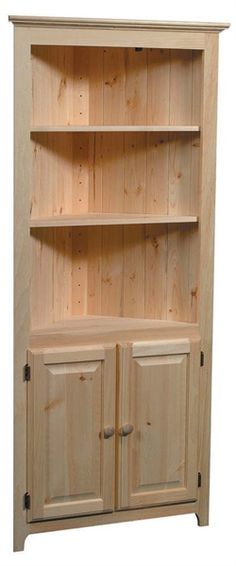 a wooden bookcase with two doors and cupboards