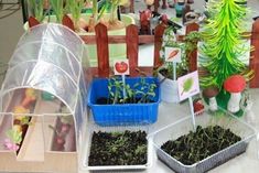 several plastic containers filled with plants on top of a table