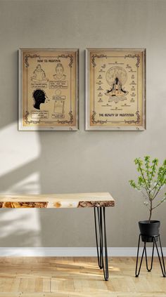 two posters on the wall above a table with a potted plant next to it