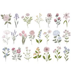 a bunch of different flowers that are on a white background with green leaves and stems