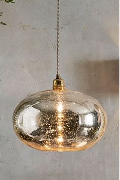 a glass ornament hanging from a rope on a wall next to a potted plant