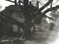 an old building with a tree in front of it