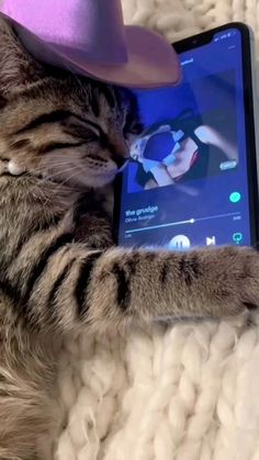 a cat wearing a hat laying on top of a blanket next to a cell phone