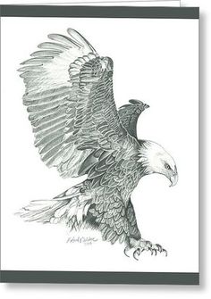 a drawing of an eagle in flight with its wings spread out and talons outstretched