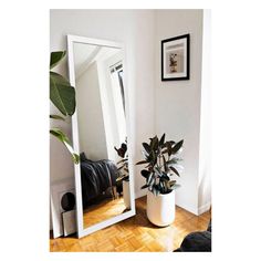 a large mirror sitting on top of a wooden floor next to a potted plant