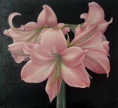 a painting of pink flowers on a black background