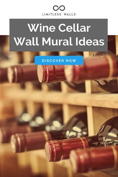 wine cellar wall murals with the words, wine cellar wall mural ideas discovering new ways