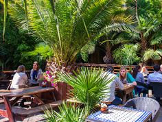 people are sitting at tables in an outdoor restaurant with palm trees and potted plants