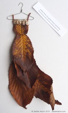 a dried leaf hanging from a hook on a white surface with a tag attached to it