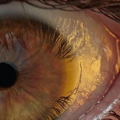 an extreme close up shot of the iris of someone's eye with yellow and brown colors