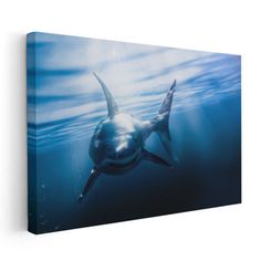 an image of a shark swimming in the ocean canvas wall art print on wrapped canvas