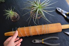 a person is holding a garden tool next to some plants and other tools on a table