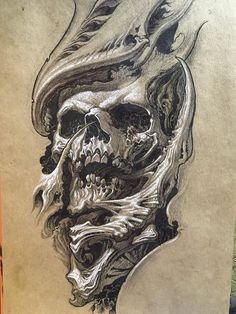 a drawing of a human skull on paper