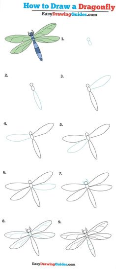 how to draw a dragonfly step by step drawing instructions for kids and beginners