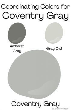 the different shades of gray and white are shown in this color guide for every type of paint