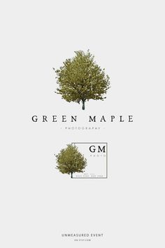 the green maple photography logo is shown on a white background with an image of a tree