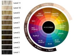 Wella Color Wheel, Color Charm Toner Chart, Wella Charm Color Chart, Wella Hair Color Chart Brown, Toner Chart, Wella Color Chart, Wella Illumina Color Chart, Wells Toner Chart, Wella Color Formulas Brown