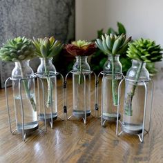 four glass vases with succulents in them sitting on a wooden table