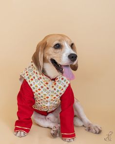 a dog is wearing a red outfit and sitting on the floor with its tongue out