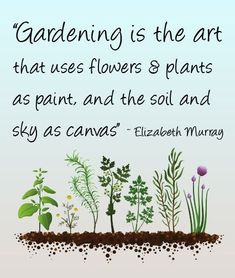 gardening is the art that uses flowers & plants as paint and the soil sky as canvas