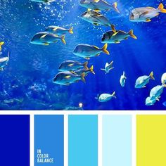 the color scheme is blue and yellow, with fish swimming in the water below it