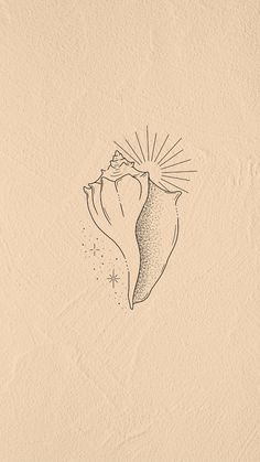 a drawing of a sea shell on a beige background with the sun shining through it