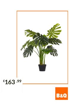 This green artificial plant is a perfect accessory for those who have dreamed of monstera plant but never knew how to maintain it. Very fashionable addition to every Scandinavian interior, or the room inspired by retro design. This tall potted plant will look spectacular next to a large sofa or an armchair, as well as in the kitchen or bathroom. Shape the leaves thanks to elastic filaments in the stems. Tall Potted Plants, Room Inspired, Artificial Potted Plants, Scandinavian Fashion, Monstera Plant, Large Sofa, Scandinavian Interior, Artificial Plants