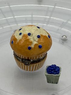 a cupcake with blueberries on it sitting next to a muffin in a plastic container