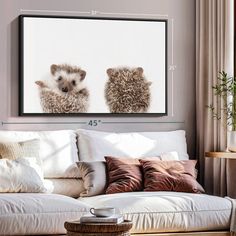 two hedgehogs sitting next to each other in front of a white couch with pillows