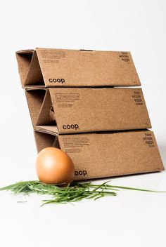 three cardboard boxes and an egg on a white surface with green grass next to them