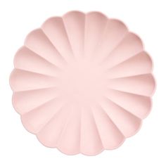 a pink scallop is shown on a white background