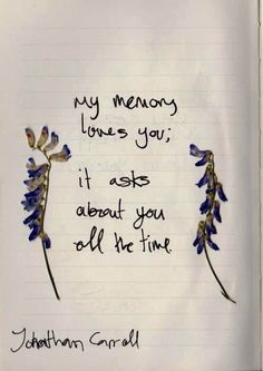 an open notebook with writing on it and two blue flowers in the middle that says, my memory loves you i ask about you all the time