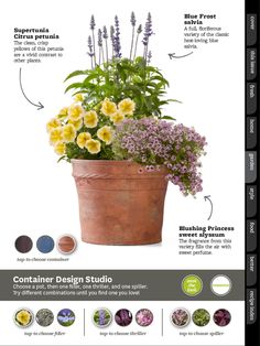 a flower pot with flowers in it