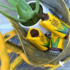 three bottles of body lotion sitting in a basket next to a succulent