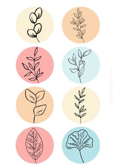 four different types of leaves in black and white on pink, yellow and orange circles