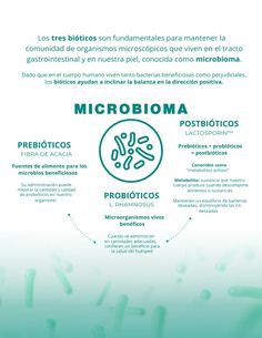 El microbioma de la piel es clave para controlar el sebo y el ácne. Descubre cómo mantenerlo equilibrado para una piel saludable y radiante.