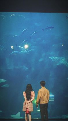 two people standing in front of an aquarium looking at the fish and other sea creatures