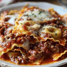 a white plate topped with lasagna sauce and meat