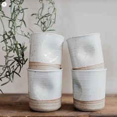 three white cups sitting on top of a wooden table next to a potted plant