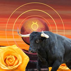 a bull with horns standing in front of a rose and an astro sign on it