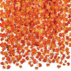 PRICES MAY VARY. 1.Our fall maple garland each garland 7 FT Long,Leaves about 3.15 inches in diameter,Each vine holds 30 leaves. 2.The fall leaves garland suitable for home decoration,Thanksgiving party,wedding decoration,fireplace,gardens,fencing,floral tributes,sheds Swing frame,etc. 3.Our garland Plants maple Leaves.Featuring wonderful,shapely leaves and fall hues,looks lifelike and will add elegance to your landscape. 4.Each of our pack contains 5 pieces of the fall maple garland vine,it tot Thanksgiving Fireplace, Wedding Fireplace, Fall Maple Leaves, Maple Leaf Wreath, Leaves Garland, Garland Wedding Decor, Fall Leaf Garland, Fireplace Garden, Artificial Garland