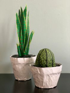 two potted plants sitting on top of a table