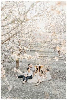 a family sitting on the ground in an orchard with blossoming trees and sunbeams