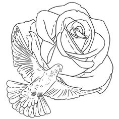 a bird flying in front of a rose