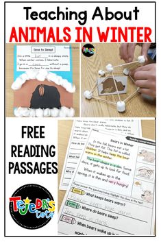 teaching about animals in winter with free printables and activities to help students learn how to read