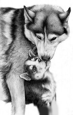 a drawing of a wolf with its baby in it's mouth and another dog looking at the camera