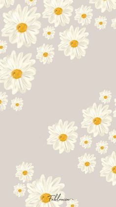 white daisies with yellow centers on a light gray background for wallpaper or fabric