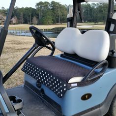 a golf cart with a zebra print seat cover